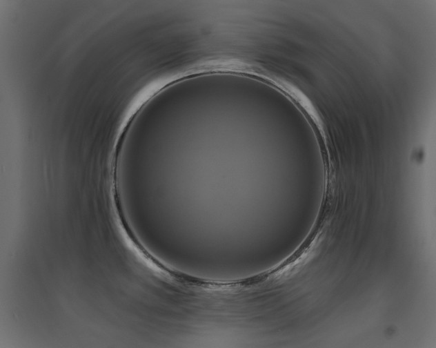 X0000094901389200711291222