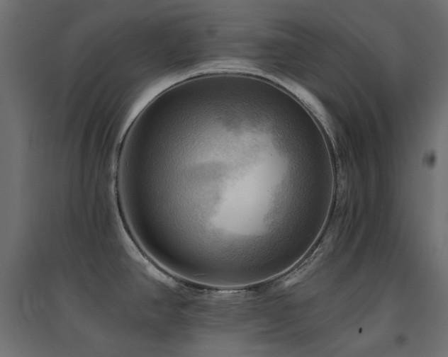 X0000094901390200711291222