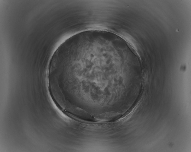 X0000094901391200711291222