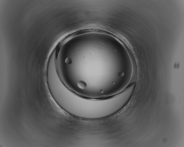 X0000094901392200711291222