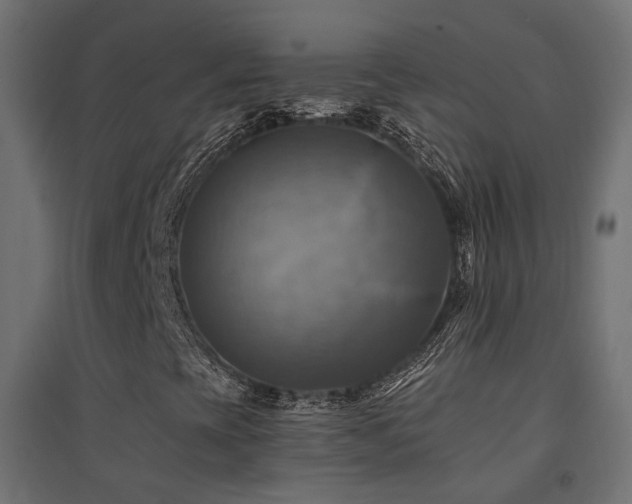 X0000094901393200711291221