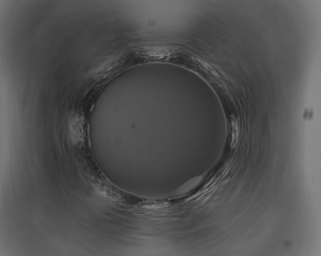 X0000094901394200711291221