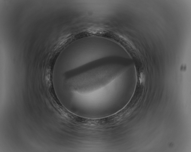 X0000094901396200711291221