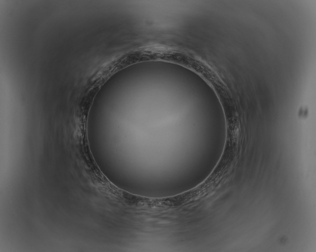X0000094901397200711291221
