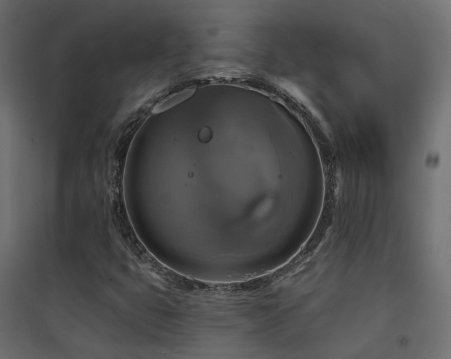 X0000094901399200711291221