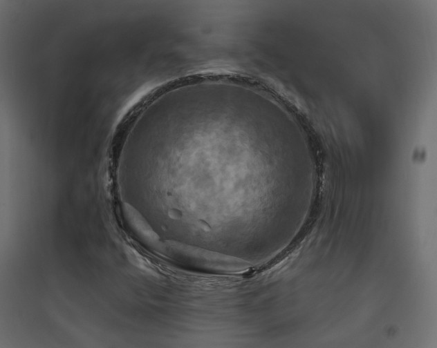 X0000094901400200711291221