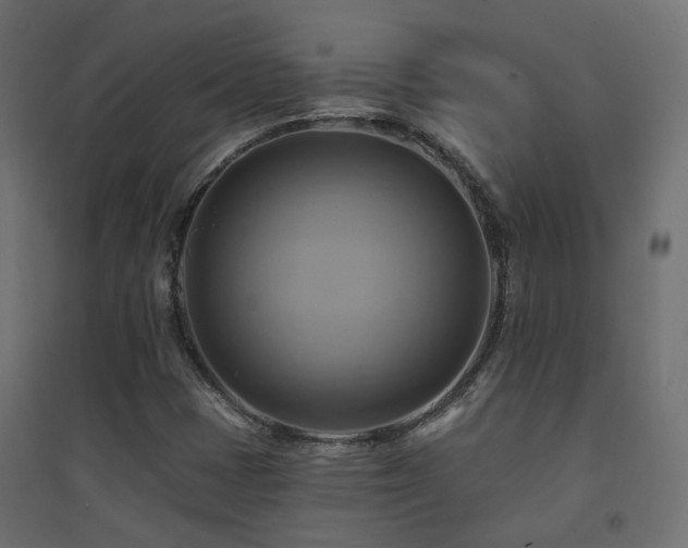 X0000094901401200711291221