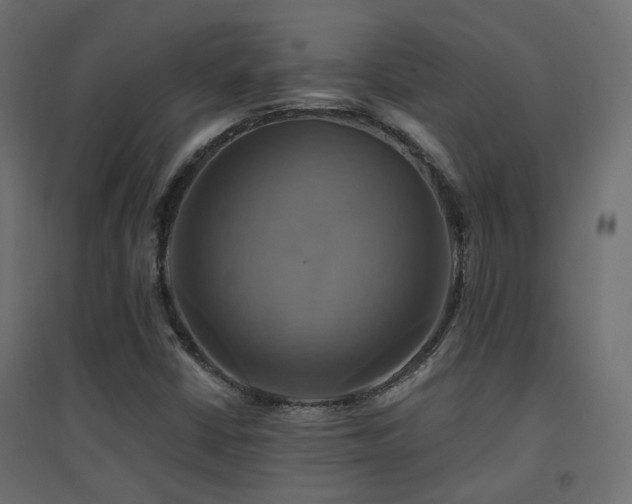 X0000094901402200711291221