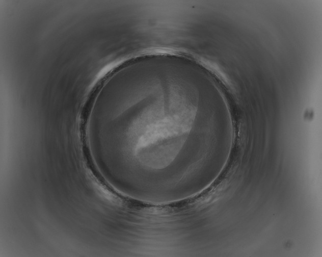 X0000094901404200711291221