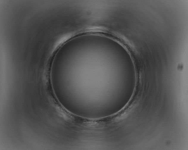 X0000094901405200711291221