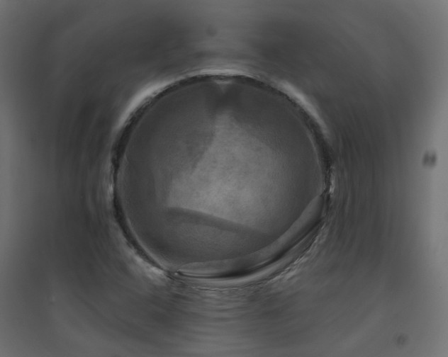 X0000094901408200711291221