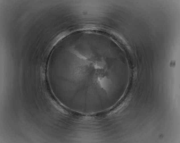 X0000094901409200711291221