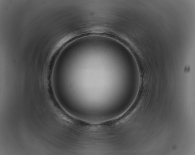 X0000094901410200711291221