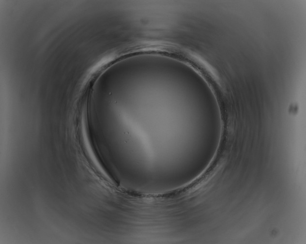 X0000094901411200711291221