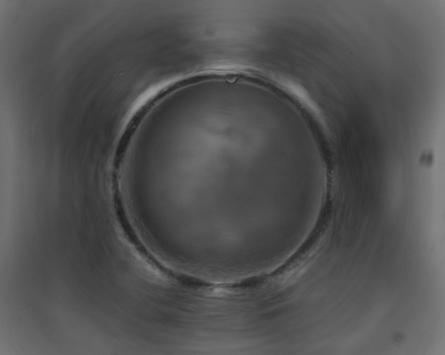 X0000094901412200711291221