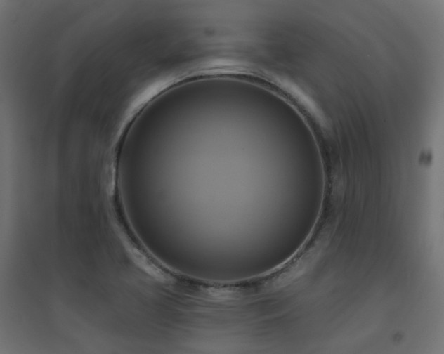 X0000094901413200711291221