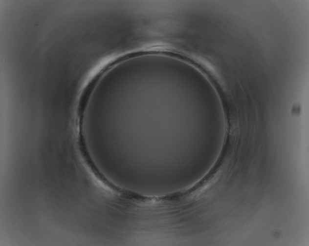 X0000094901414200711291221
