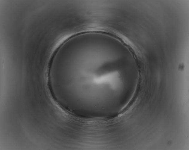 X0000094901415200711291221