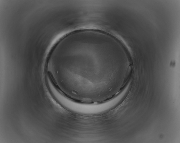 X0000094901416200711291221