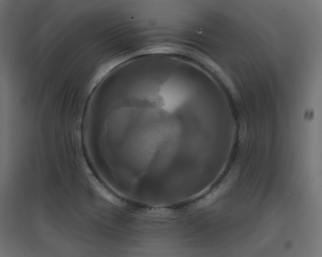 X0000094901417200711291221