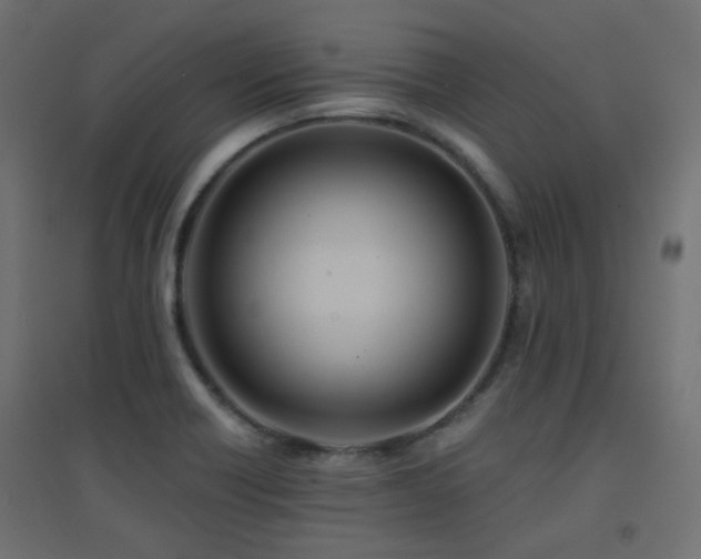 X0000094901418200711291221