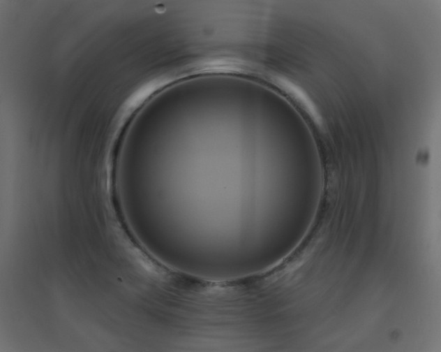 X0000094901419200711291221