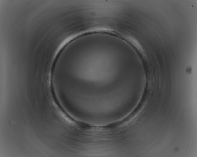 X0000094901420200711291221
