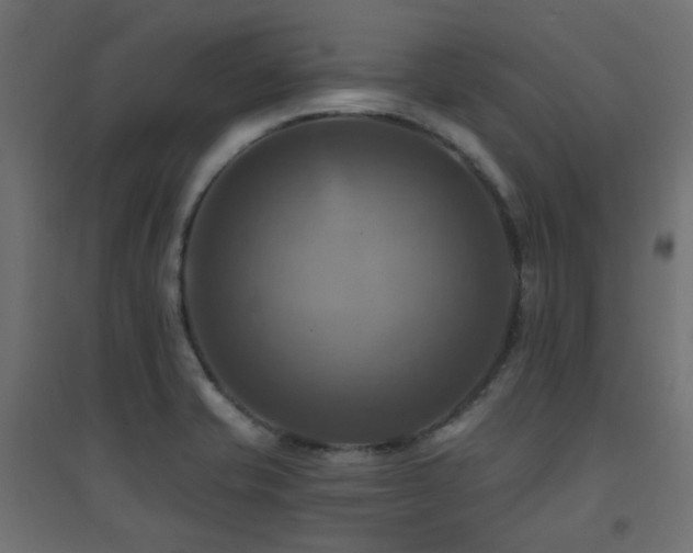 X0000094901421200711291221