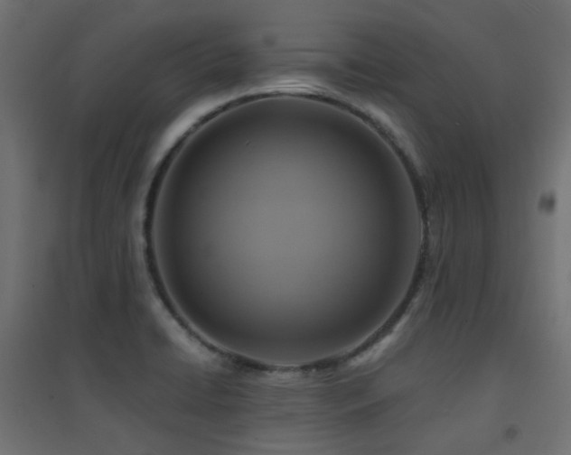 X0000094901422200711291222
