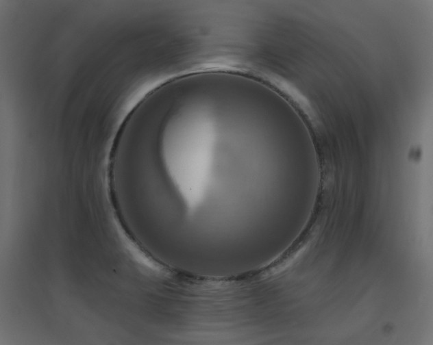X0000094901423200711291222