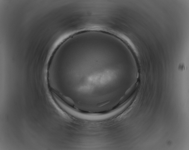 X0000094901424200711291222