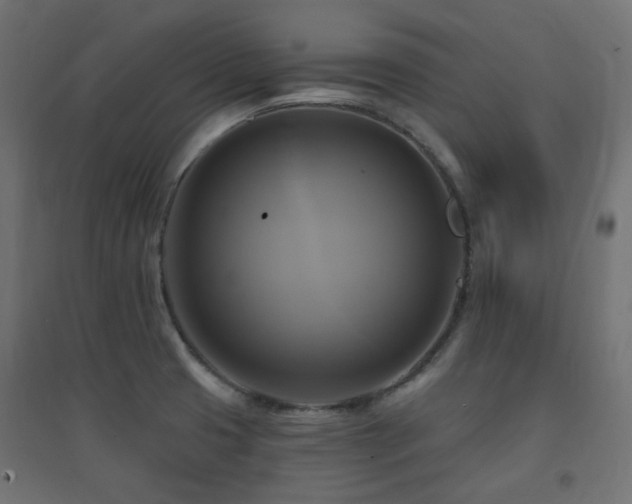 X0000094901425200711291222