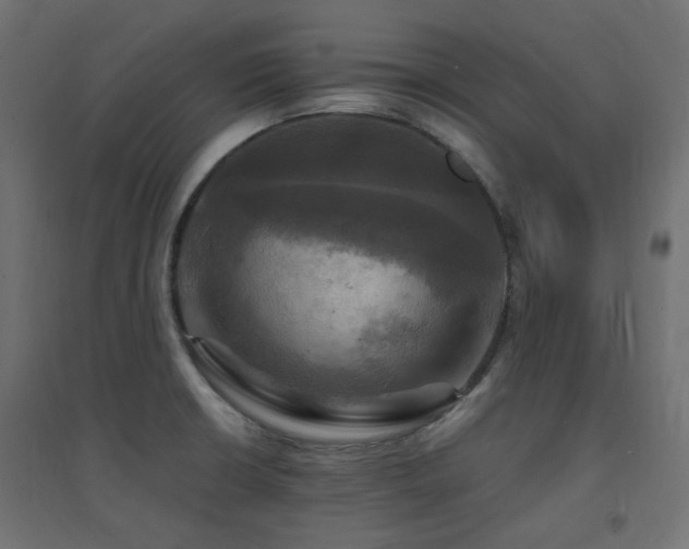 X0000094901426200711291222