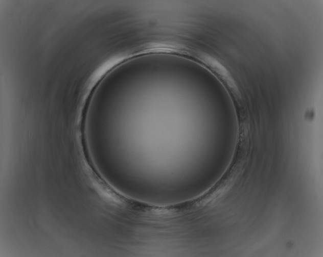 X0000094901427200711291222