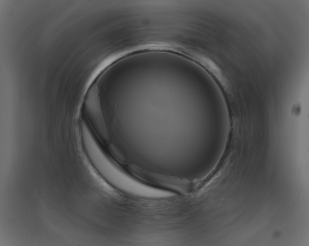 X0000094901428200711291222