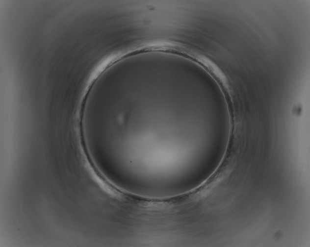 X0000094901429200711291222