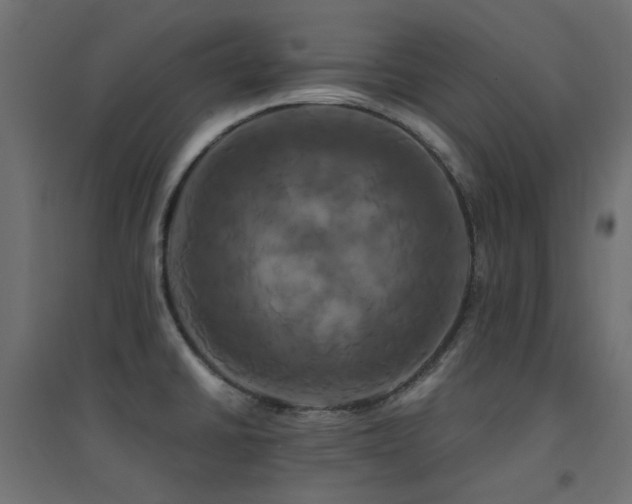 X0000094901430200711291222