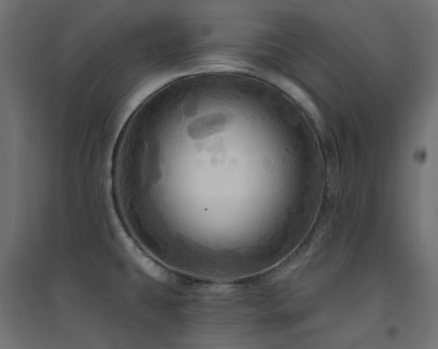 X0000094901431200711291222