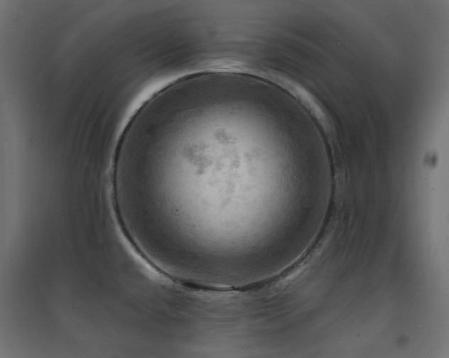X0000094901432200711291222