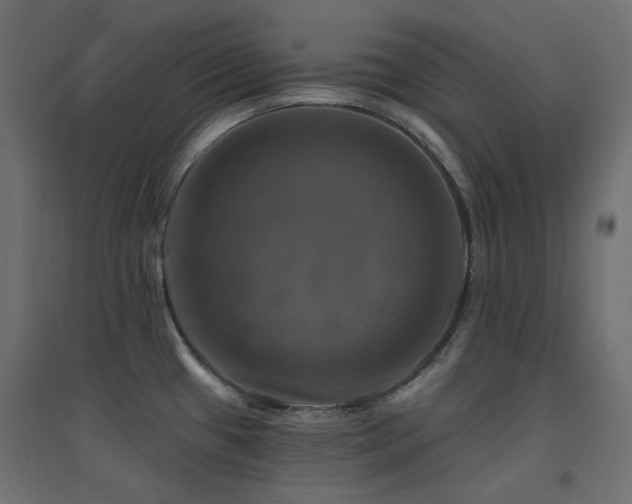 X0000094901433200711291222