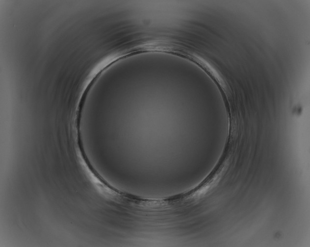 X0000094901434200711291222
