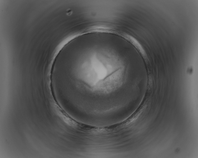X0000094901435200711291222