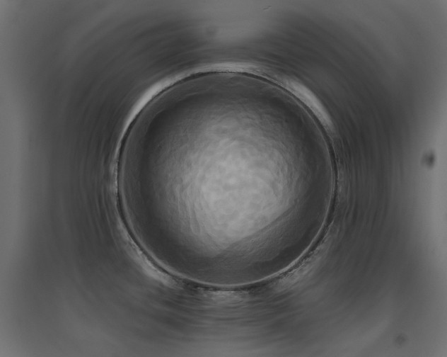 X0000094901436200711291222