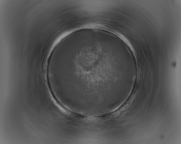 X0000094901437200711291222