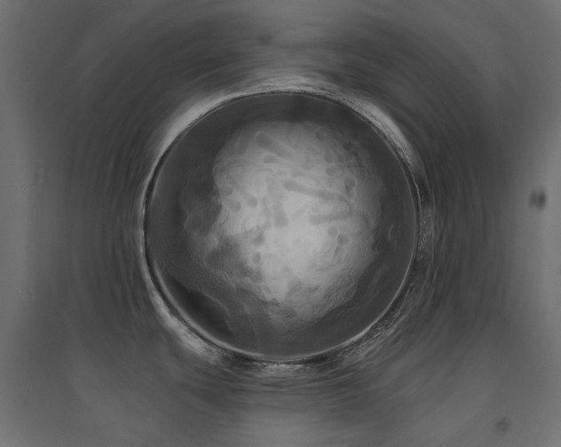 X0000094901439200711291222