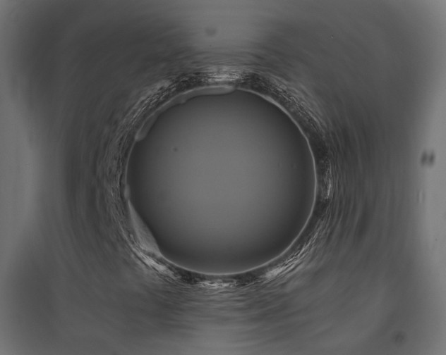 X0000094901441200711291221