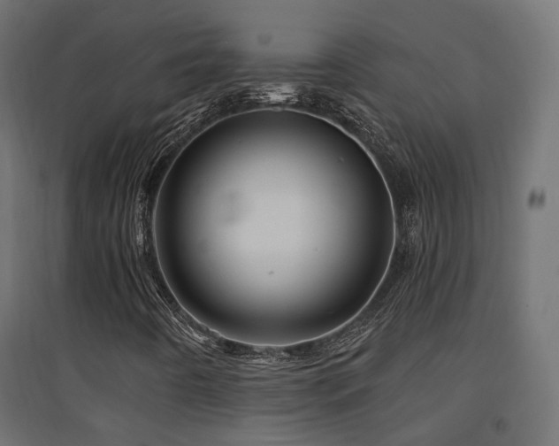 X0000094901442200711291221