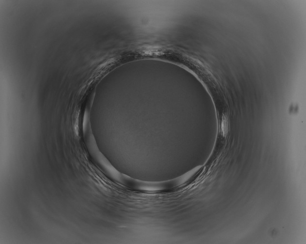 X0000094901444200711291221