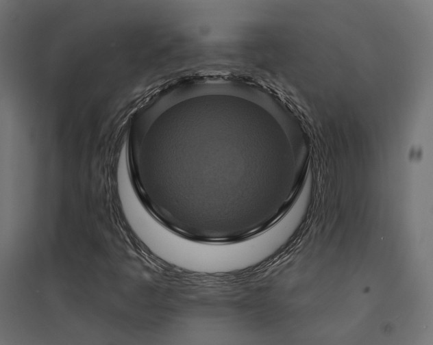 X0000094901445200711291221