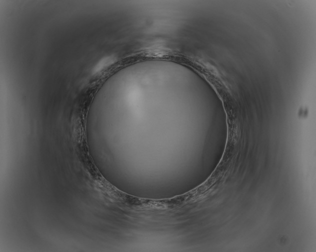 X0000094901446200711291221
